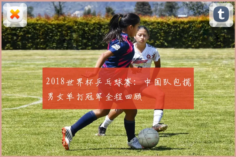 2018世界杯乒乓球赛：中国队包揽男女单打冠军全程回顾